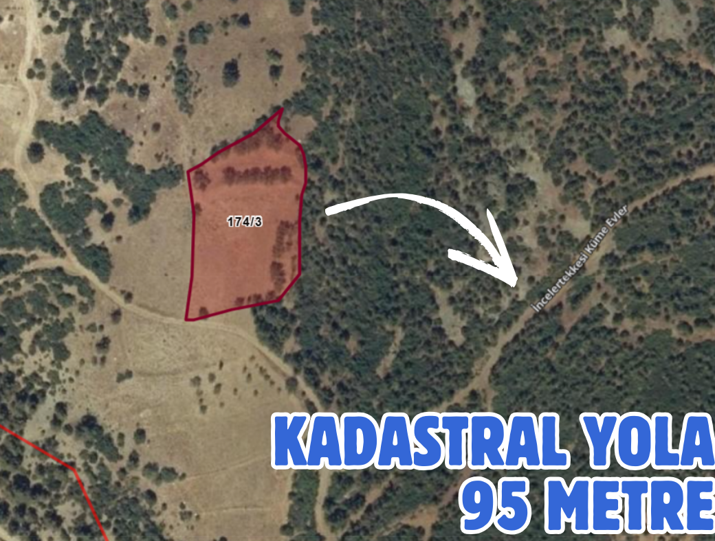 DENİZLİ BOZKURT İNCELER TEKKESİ 3.905 M² TARLAMIZ SATILIKTIR - DENİZLİ BOZKURT fotoğraf 3